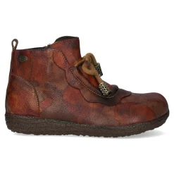 New Bottines - GOCNO 215 Bottines