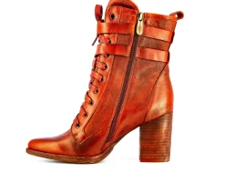New Bottines - IBCTICO 11 Bottines